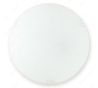 Настенно-потолочный светильник Hillary TL9021Y-02WH TopLight