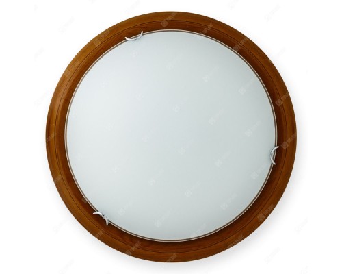 Настенно-потолочный светильник Hillary TL9023Y-02OA TopLight