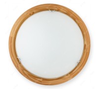 Настенно-потолочный светильник Hillary TL9023Y-02PN TopLight