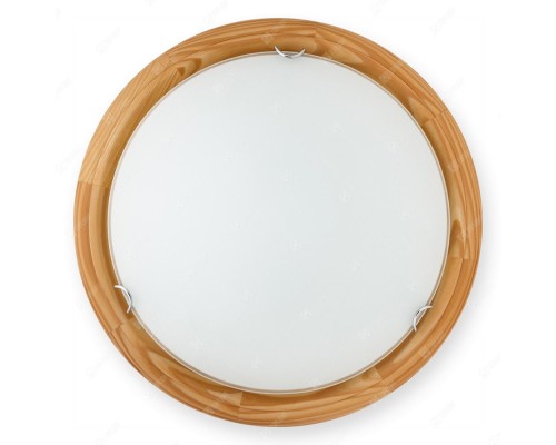 Настенно-потолочный светильник Hillary TL9023Y-02PN TopLight