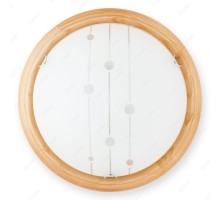 Настенно-потолочный светильник Madison TL9033Y-02PN TopLight