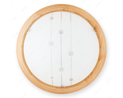 Настенно-потолочный светильник Madison TL9033Y-02PN TopLight