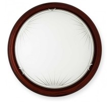 Настенно-потолочный светильник Wifa TL9144Y-02PO TopLight