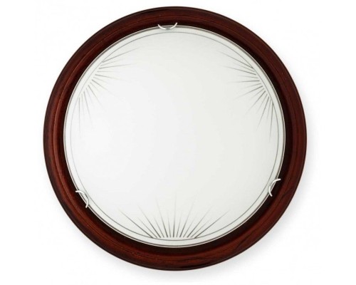 Настенно-потолочный светильник Wifa TL9144Y-02PO TopLight