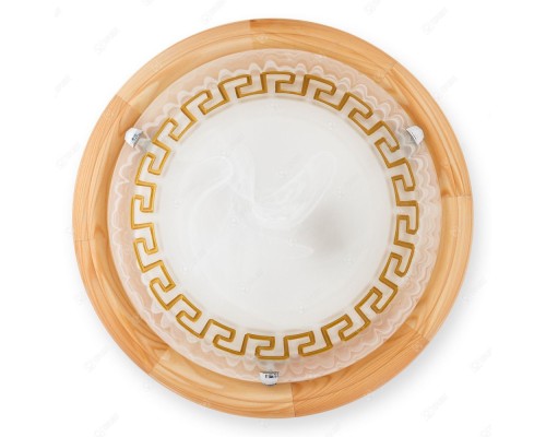 Настенно-потолочный светильник Gien TL9173Y-02PN TopLight