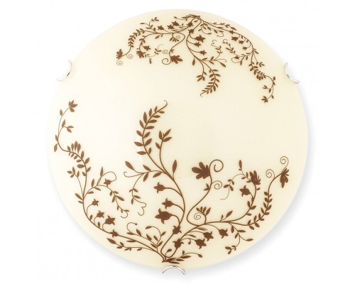 Настенно-потолочный светильник Aldor TL9191Y-01WH TopLight