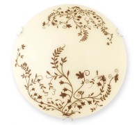 Настенно-потолочный светильник Aldor TL9192Y-02WH TopLight