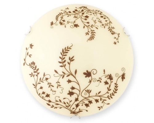 Настенно-потолочный светильник Aldor TL9192Y-02WH TopLight