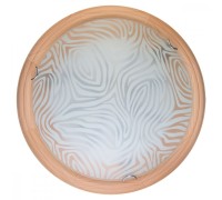 Настенно-потолочный светильник Agatha TL9260Y-00PN TopLight