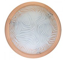 Настенно-потолочный светильник Agatha TL9260Y-00PN TopLight