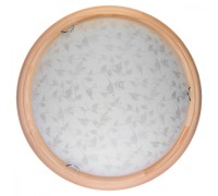 Настенно-потолочный светильник Beatrice TL9280Y-00PN TopLight