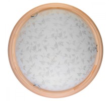 Настенно-потолочный светильник Beatrice TL9280Y-00PN TopLight