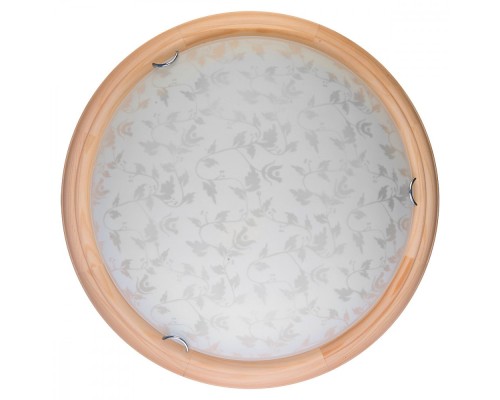 Настенно-потолочный светильник Beatrice TL9280Y-00PN TopLight