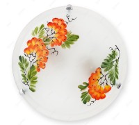 Настенно-потолочный светильник Pirolf TL9351Y-02WH TopLight