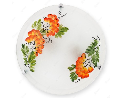 Настенно-потолочный светильник Pirolf TL9351Y-02WH TopLight