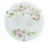 Настенно-потолочный светильник Mufi TL9381Y-02WH TopLight