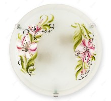 Настенно-потолочный светильник Zulad TL9391Y-02WH TopLight