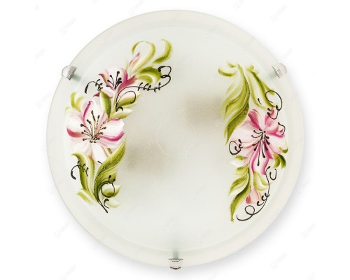 Настенно-потолочный светильник Zulad TL9391Y-02WH TopLight