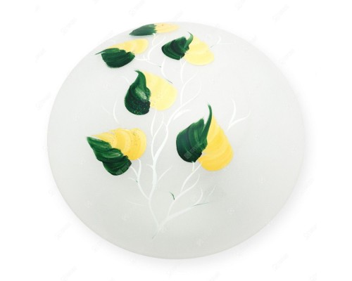 Настенно-потолочный светильник Enilu TL9460Y-02OA TopLight