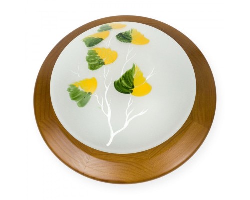 Настенно-потолочный светильник Enilu TL9461Y-01OA TopLight