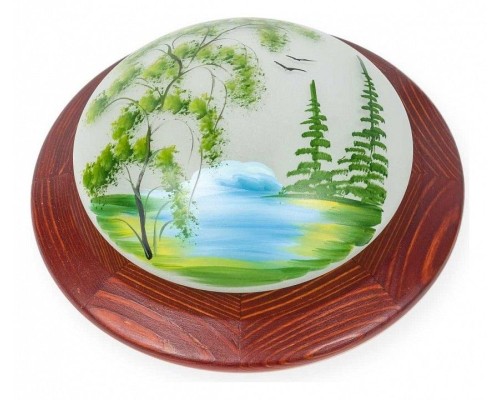 Настенно-потолочный светильник Witaec TL9470Y-01OA TopLight