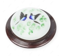 Настенно-потолочный светильник Jeler TL9481Y-01OA TopLight