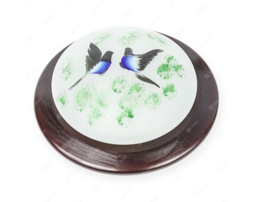 Настенно-потолочный светильник Jeler TL9481Y-01OA TopLight