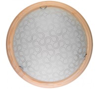 Настенно-потолочный светильник Christina TL9520Y-00PN TopLight