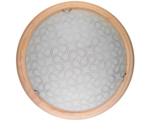 Настенно-потолочный светильник Christina TL9520Y-00PN TopLight