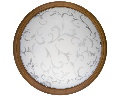 Настенно-потолочный светильник Daniela TL9530Y-00OA TopLight