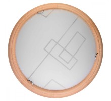 Настенно-потолочный светильник Debora TL9540Y-00PN TopLight