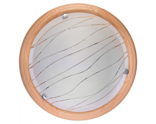 Настенно-потолочный светильник Gabrielle TL9610Y-00PN TopLight