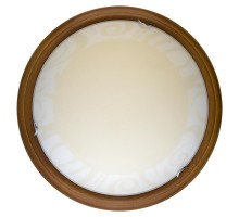 Настенно-потолочный светильник Ginger TL9620Y-00OA TopLight