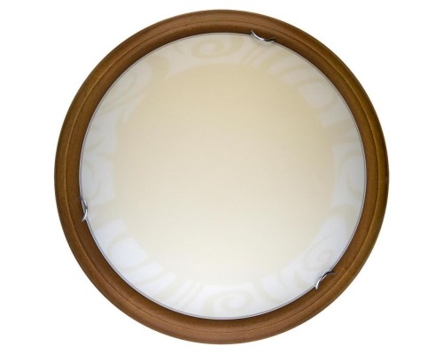 Настенно-потолочный светильник Ginger TL9620Y-00OA TopLight