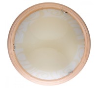 Настенно-потолочный светильник Ginger TL9620Y-00PN TopLight