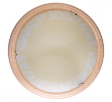 Настенно-потолочный светильник Ginger TL9620Y-00PN TopLight