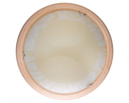 Настенно-потолочный светильник Ginger TL9620Y-00PN TopLight