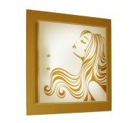 Настенно-потолочный светильник Ginger TL9621Y-00WH TopLight