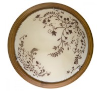 Настенно-потолочный светильник Irene TL9630Y-00OA TopLight