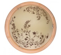 Настенно-потолочный светильник Irene TL9630Y-00PN TopLight