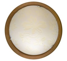 Настенно-потолочный светильник Jane TL9640Y-00OA TopLight