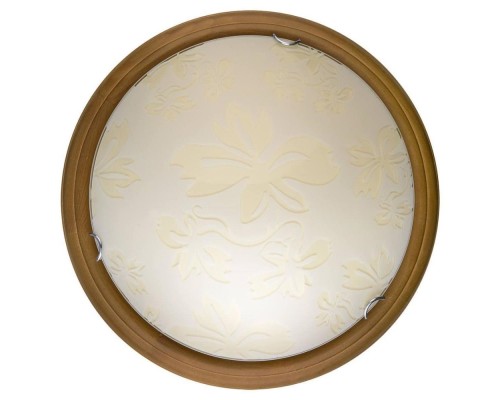 Настенно-потолочный светильник Jane TL9640Y-00OA TopLight