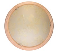 Настенно-потолочный светильник Jane TL9640Y-00PN TopLight