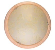 Настенно-потолочный светильник Jane TL9640Y-00PN TopLight