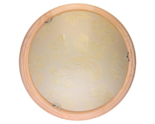 Настенно-потолочный светильник Jane TL9640Y-00PN TopLight