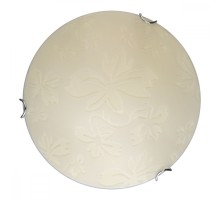 Настенно-потолочный светильник Jane TL9641Y-00WH TopLight