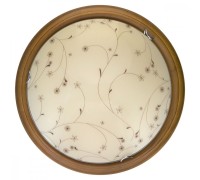 Настенно-потолочный светильник Karissa TL9650Y-00OA TopLight
