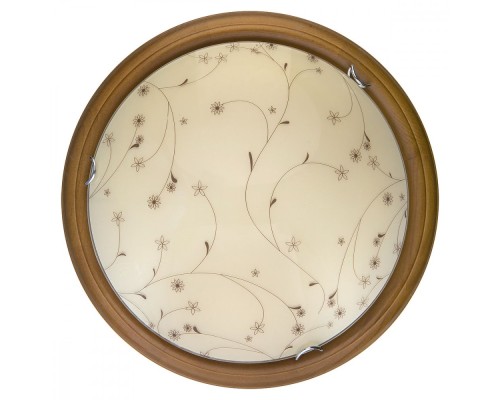 Настенно-потолочный светильник Karissa TL9650Y-00OA TopLight