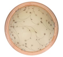 Настенно-потолочный светильник Karissa TL9650Y-00PN TopLight