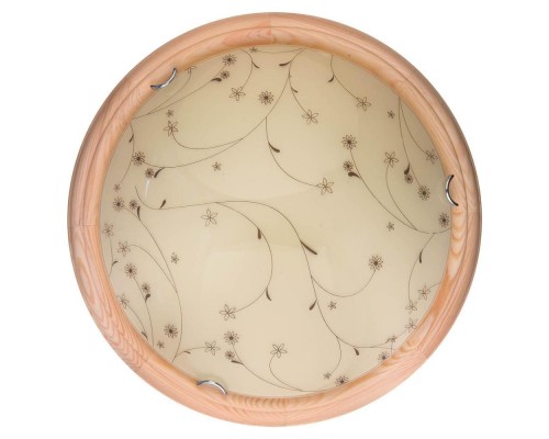 Настенно-потолочный светильник Karissa TL9650Y-00PN TopLight